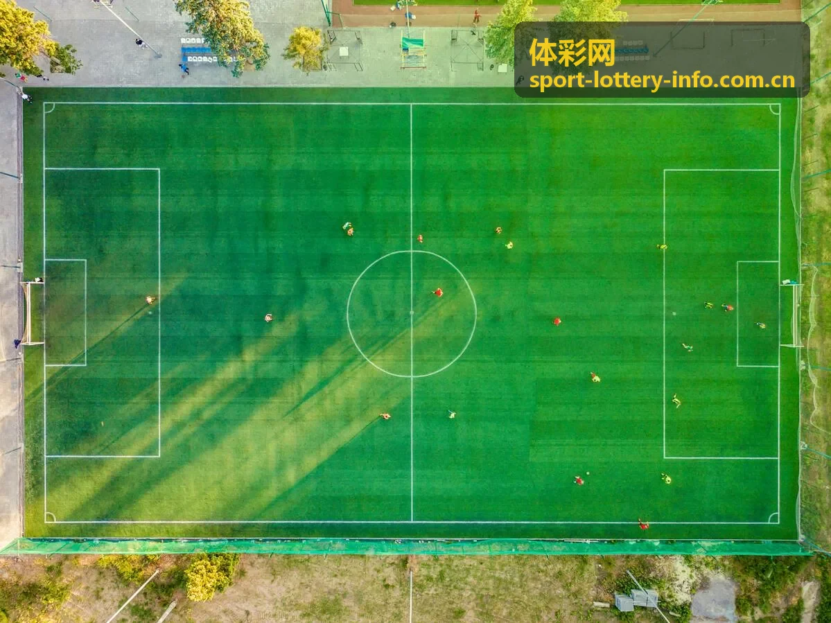 体彩网热门资讯：开奖数据走势分析